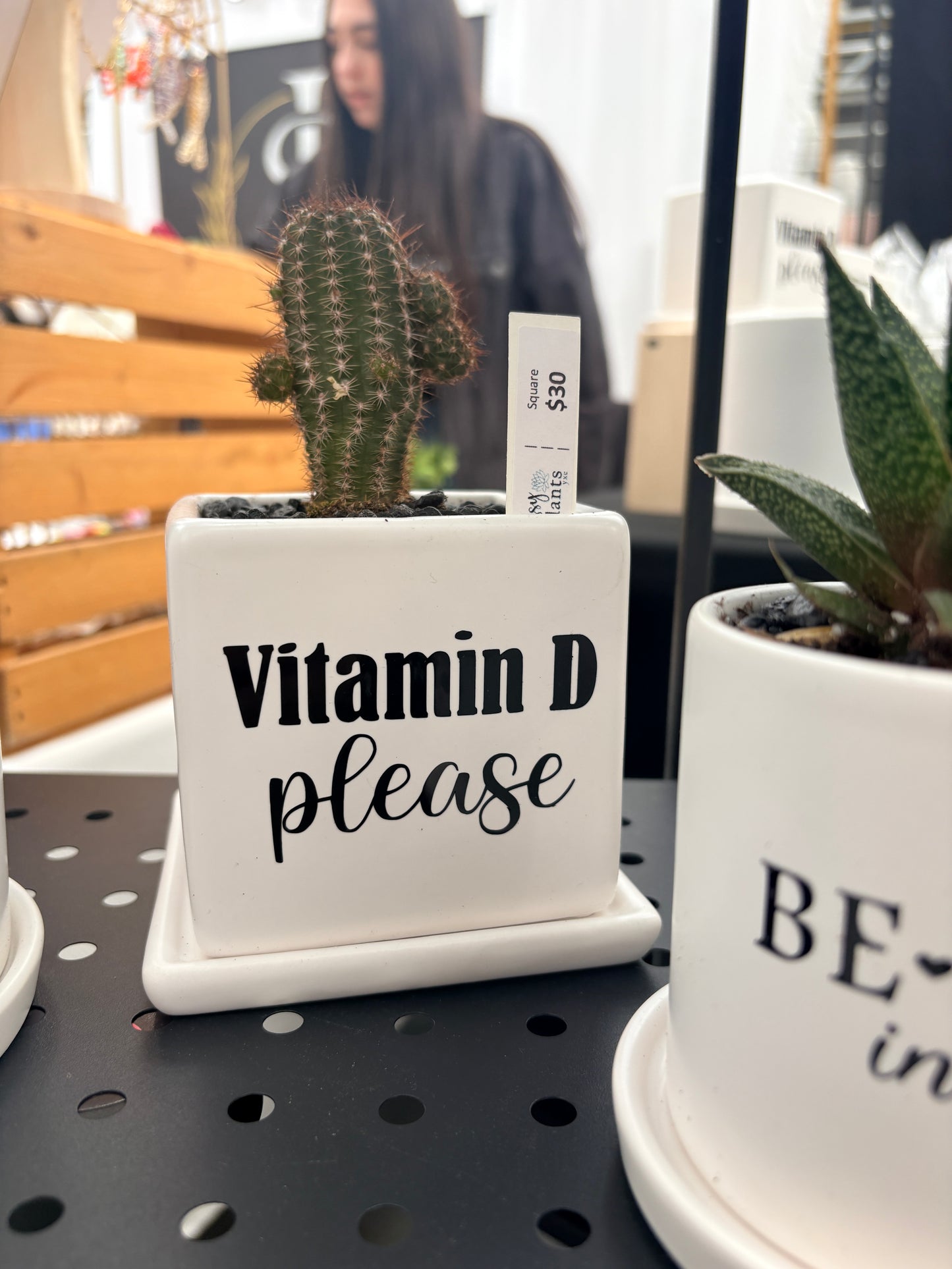 Sassy Plants - "Vitamin D please"