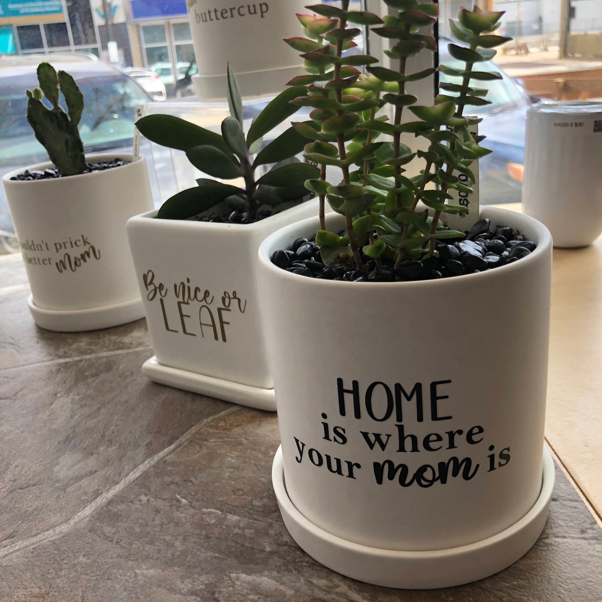 Home is where your Mom is image 0