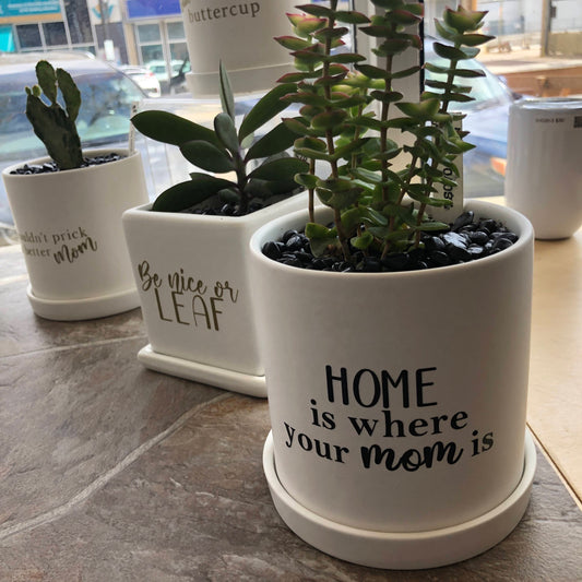 Home is where your Mom is image 0