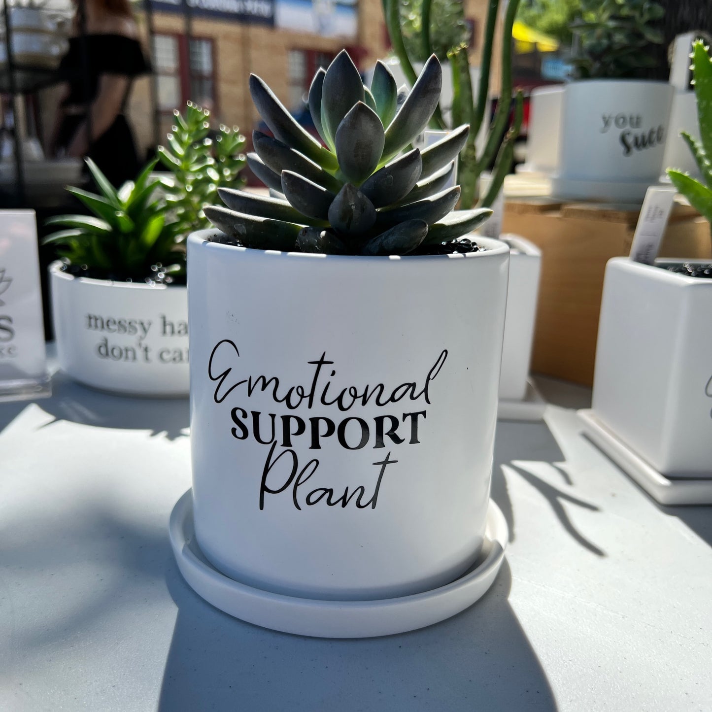Emotional support plant image 0