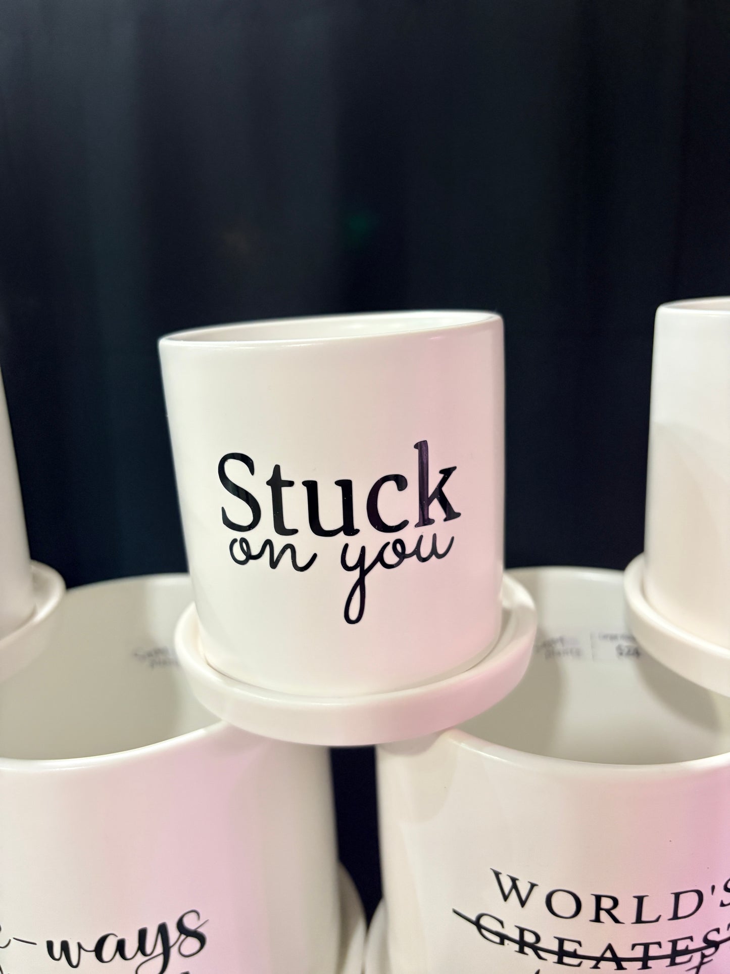 Sassy Plants - "Stuck on you"