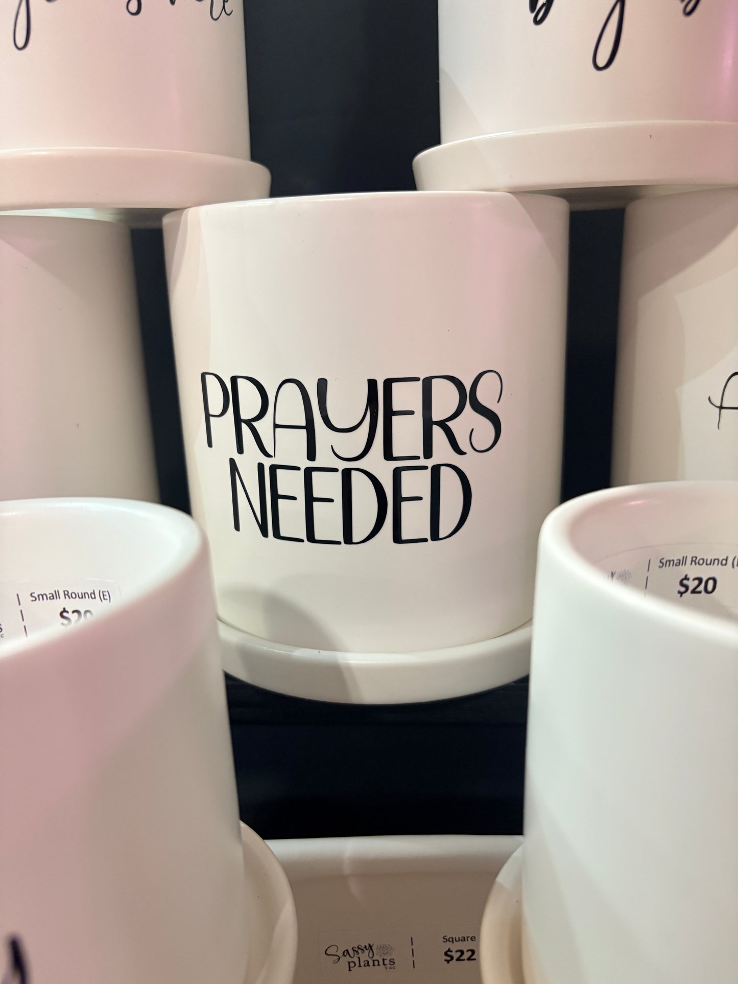 Sassy Plants - "Prayers needed"
