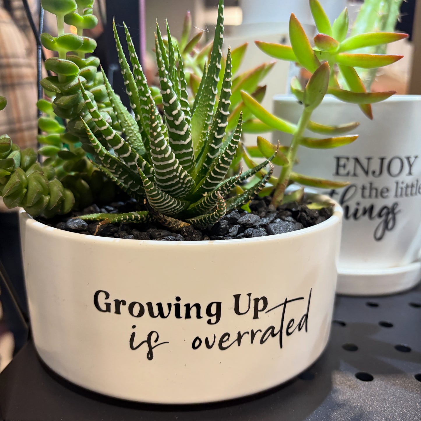 Sassy Plants - "Growing up is overrated"