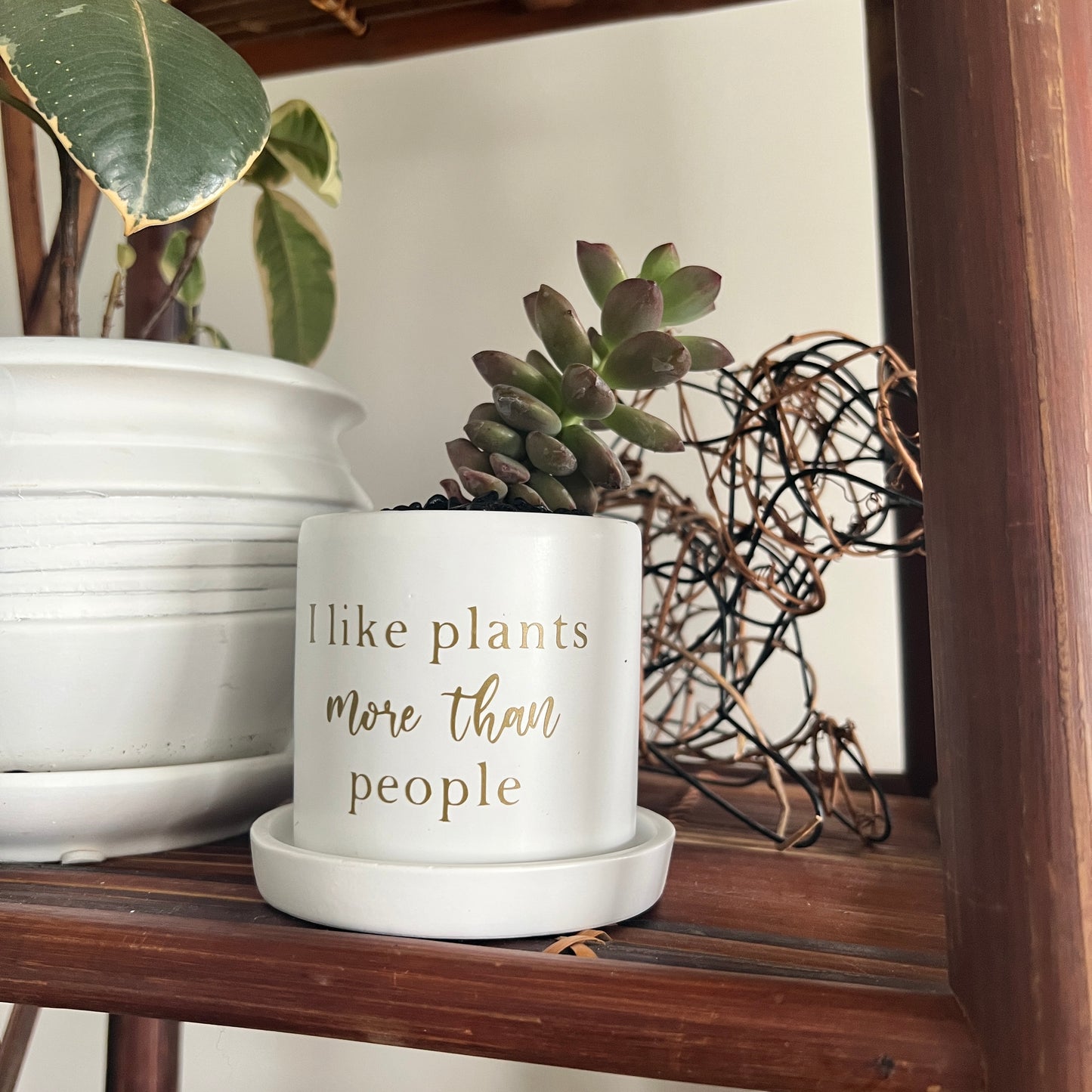 Sassy Plants - "I like plants more than people"
