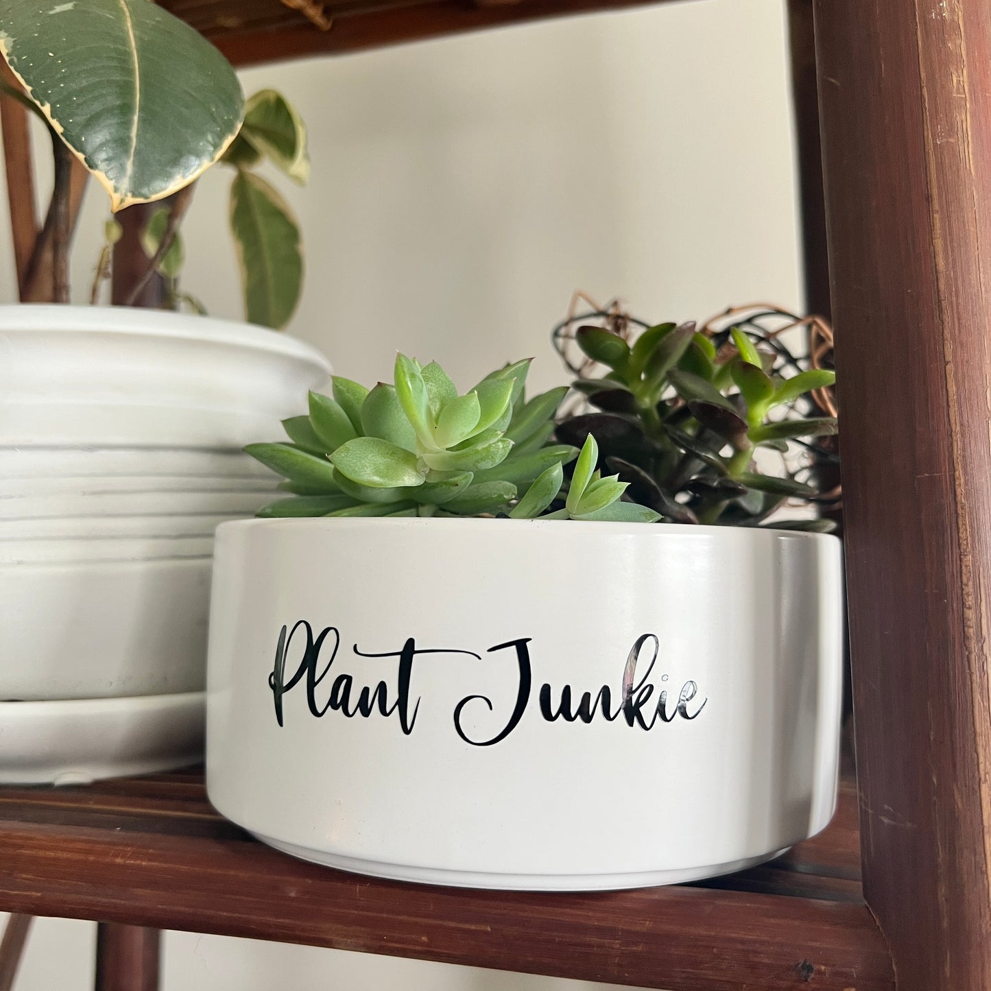 Sassy Plants - "Plant Junkie"