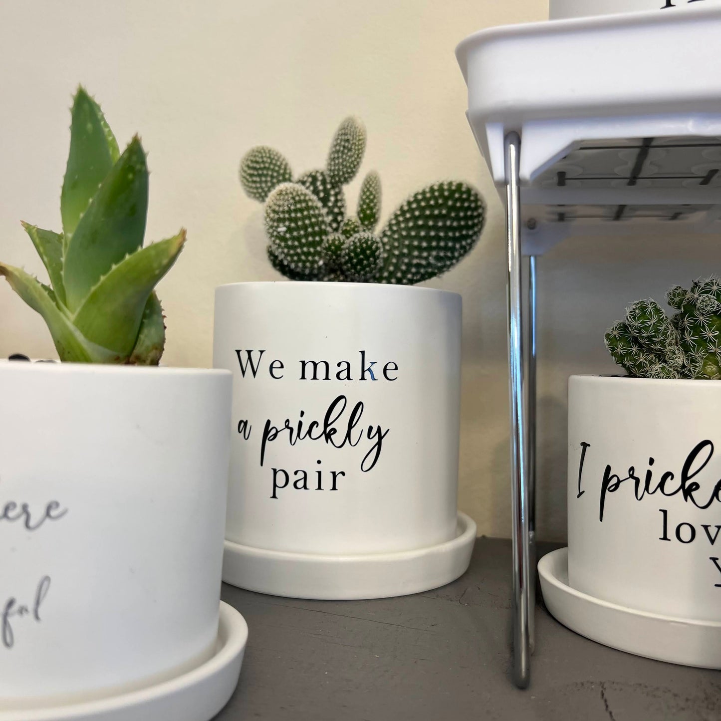Sassy Plants - "We make a prickly pair"