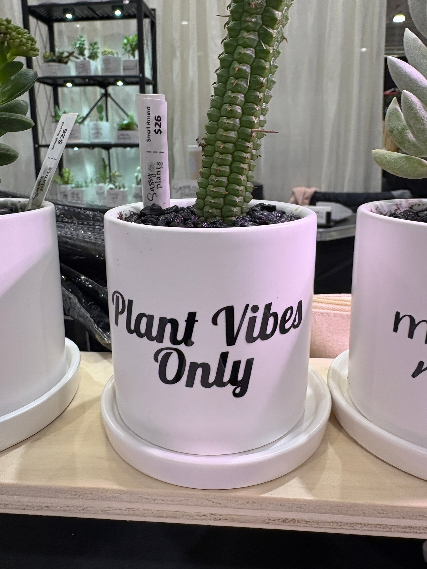 Sassy Plants - "Plant vibes only"