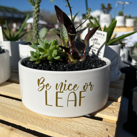 Sassy Plants - "Be nice or leaf"