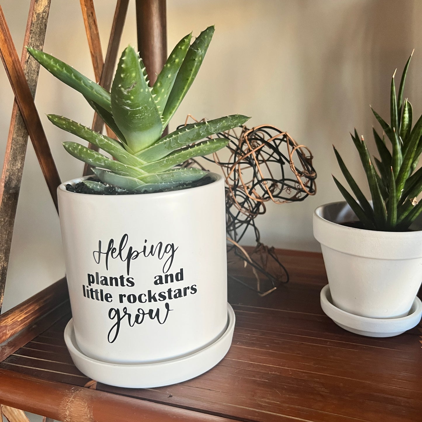 Sassy Plants - "Helping plants and little rockstars grow"