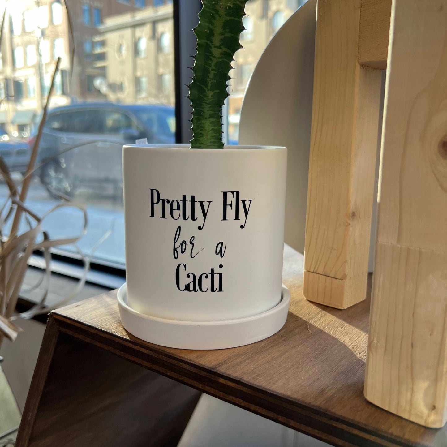 Sassy Plants - "Pretty fly for a cacti"
