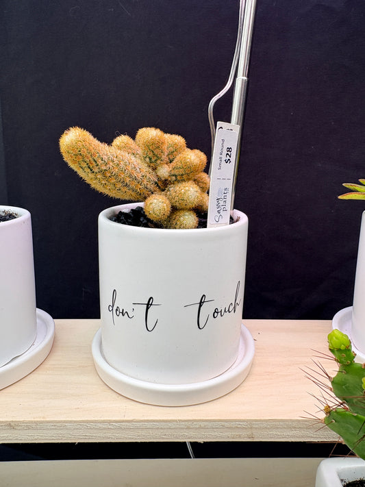 Sassy Plants - "Don't touch"