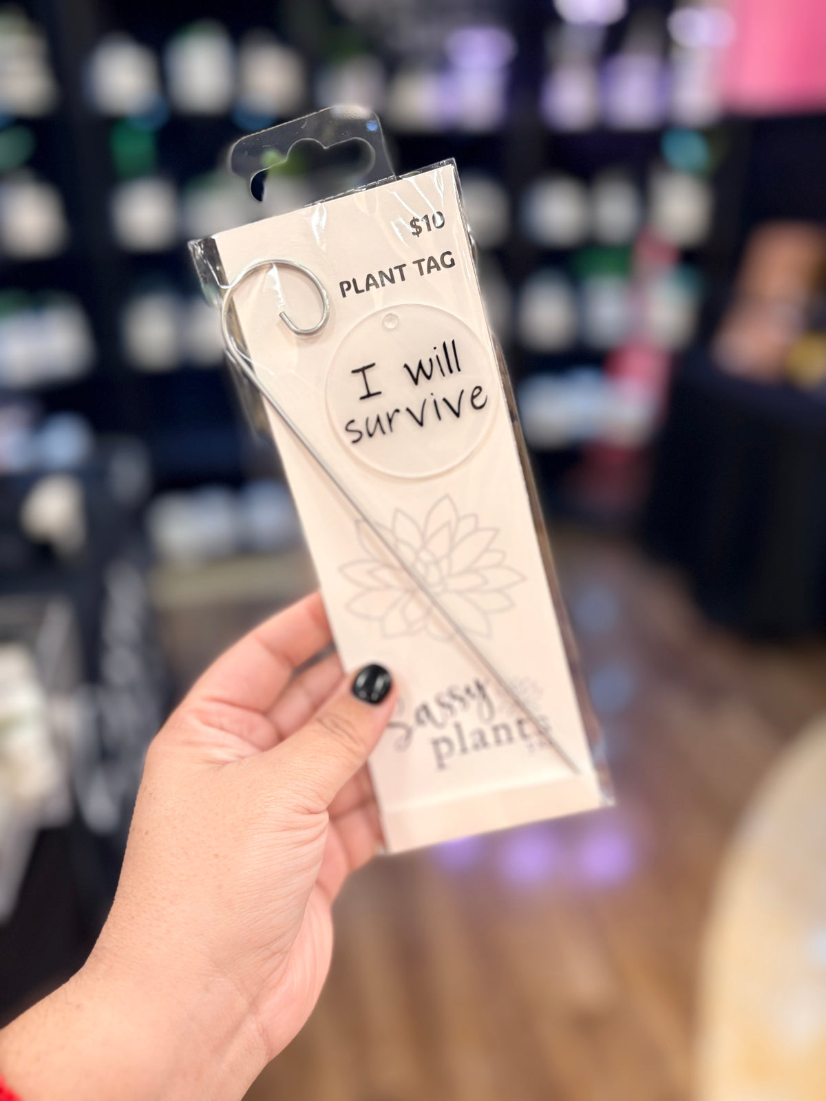 Sassy Plants - Planter Tags