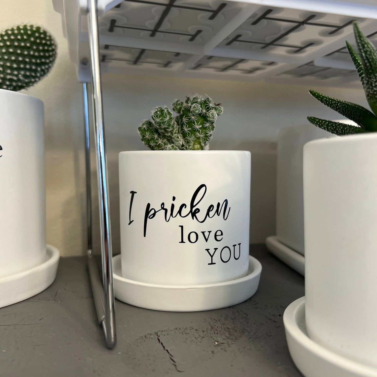 Sassy Plants - "I pricken love you"