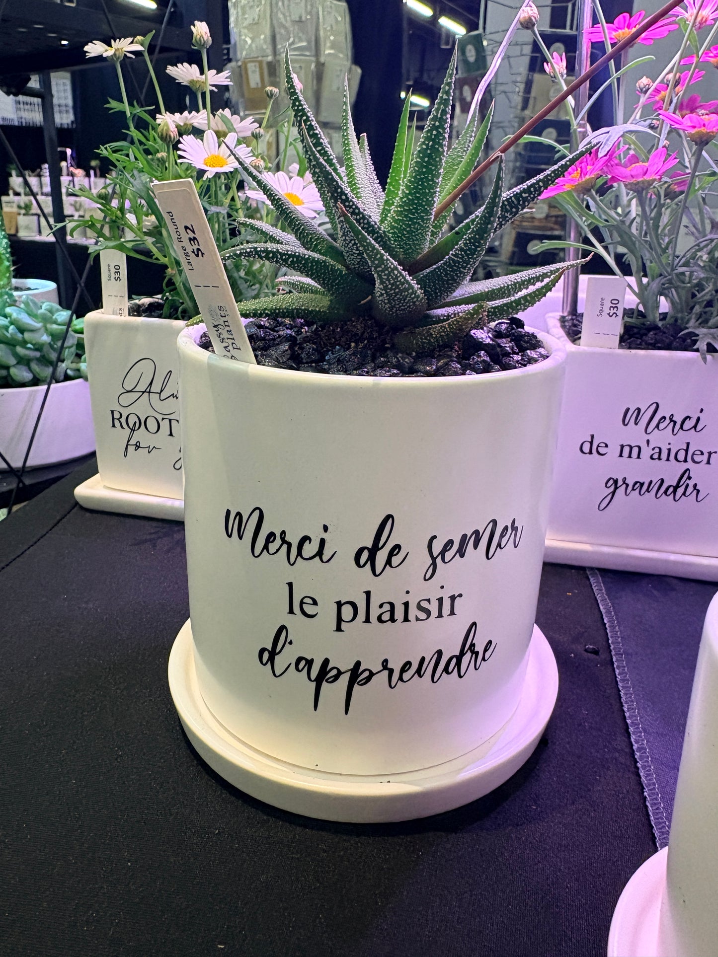 Sassy Plants - "Merci de semer le plaisir d'apprendre" ("Thank you for sowing the joy of learning" - French)