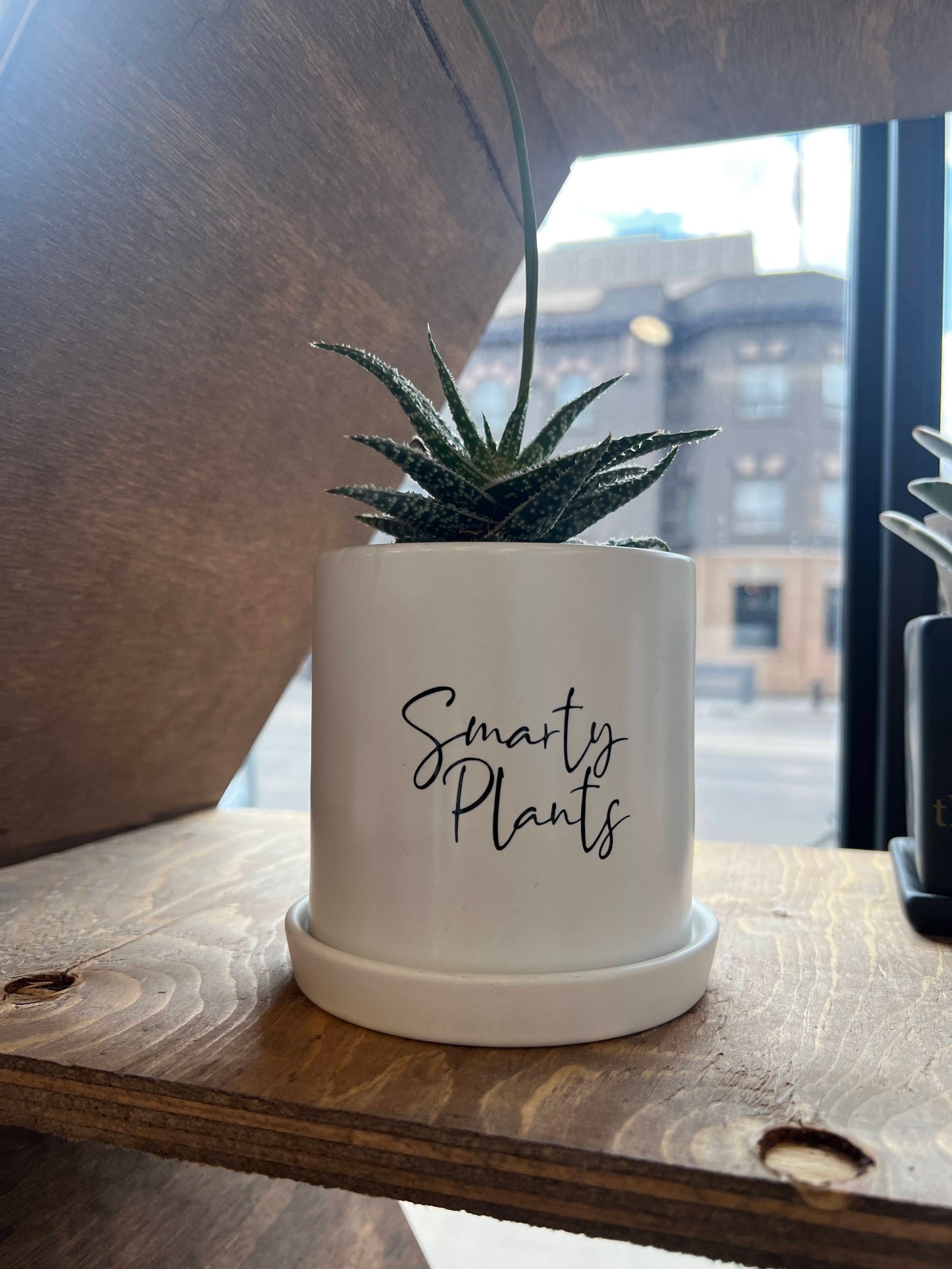 Sassy Plants - "Smarty Plants"
