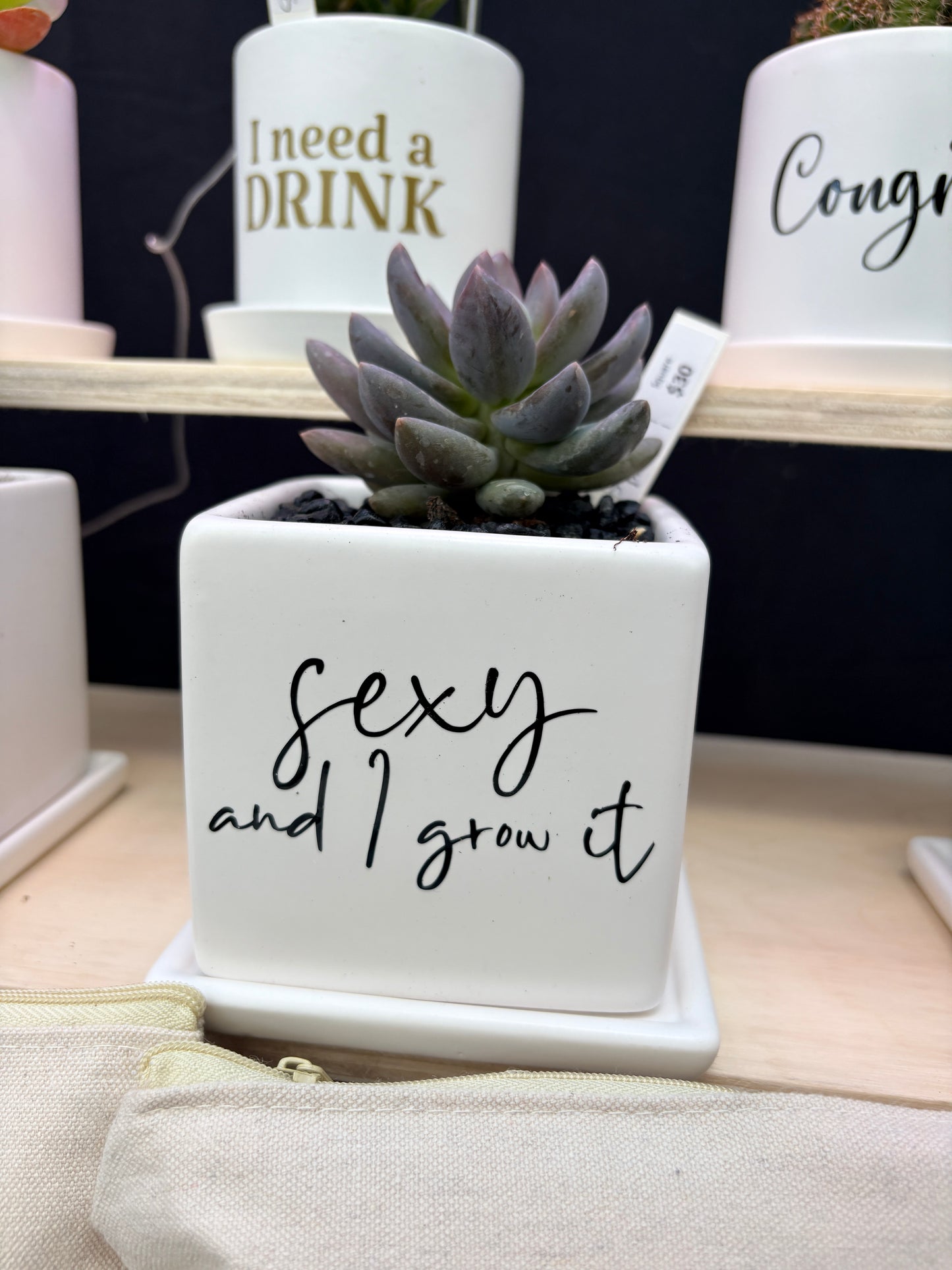 Sassy Plants - "sexy and I grow it"