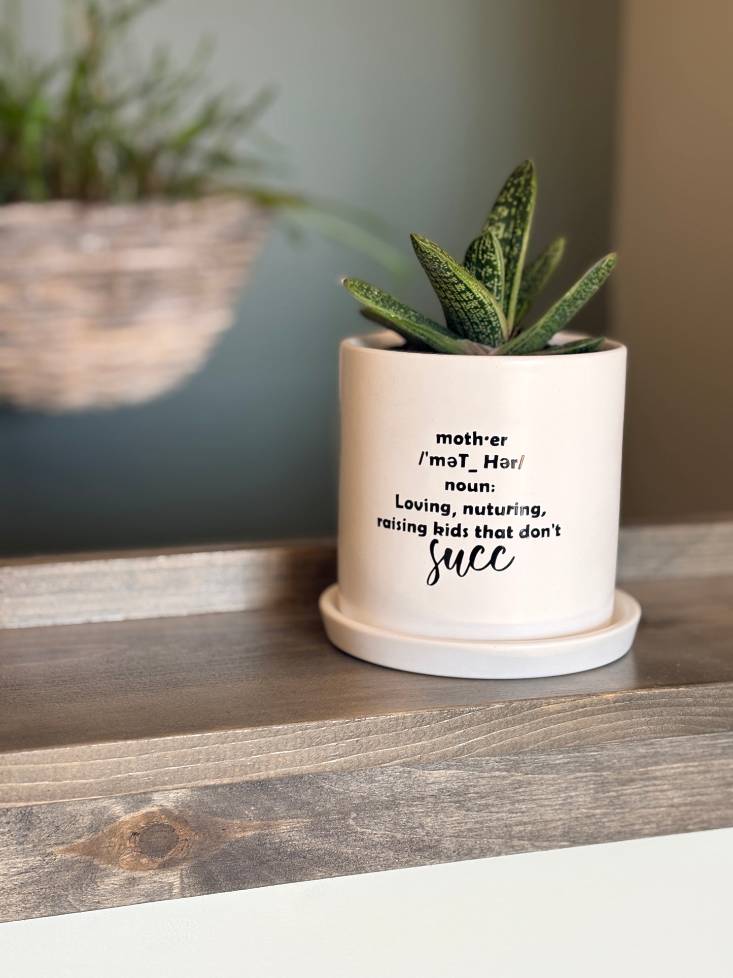 Sassy Plants - "mother (definition)" - succulent
