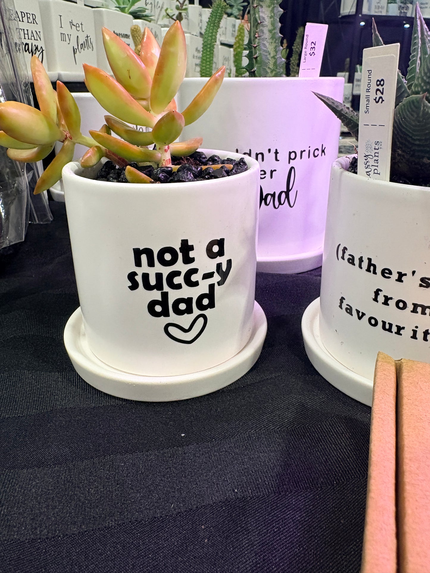 Sassy Plants - "not a succ-y dad”