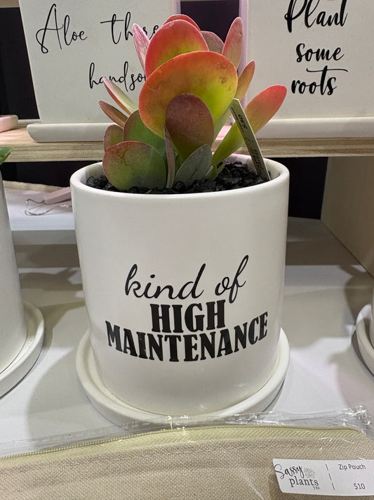 Sassy Plants - "kind of High Maintenance”