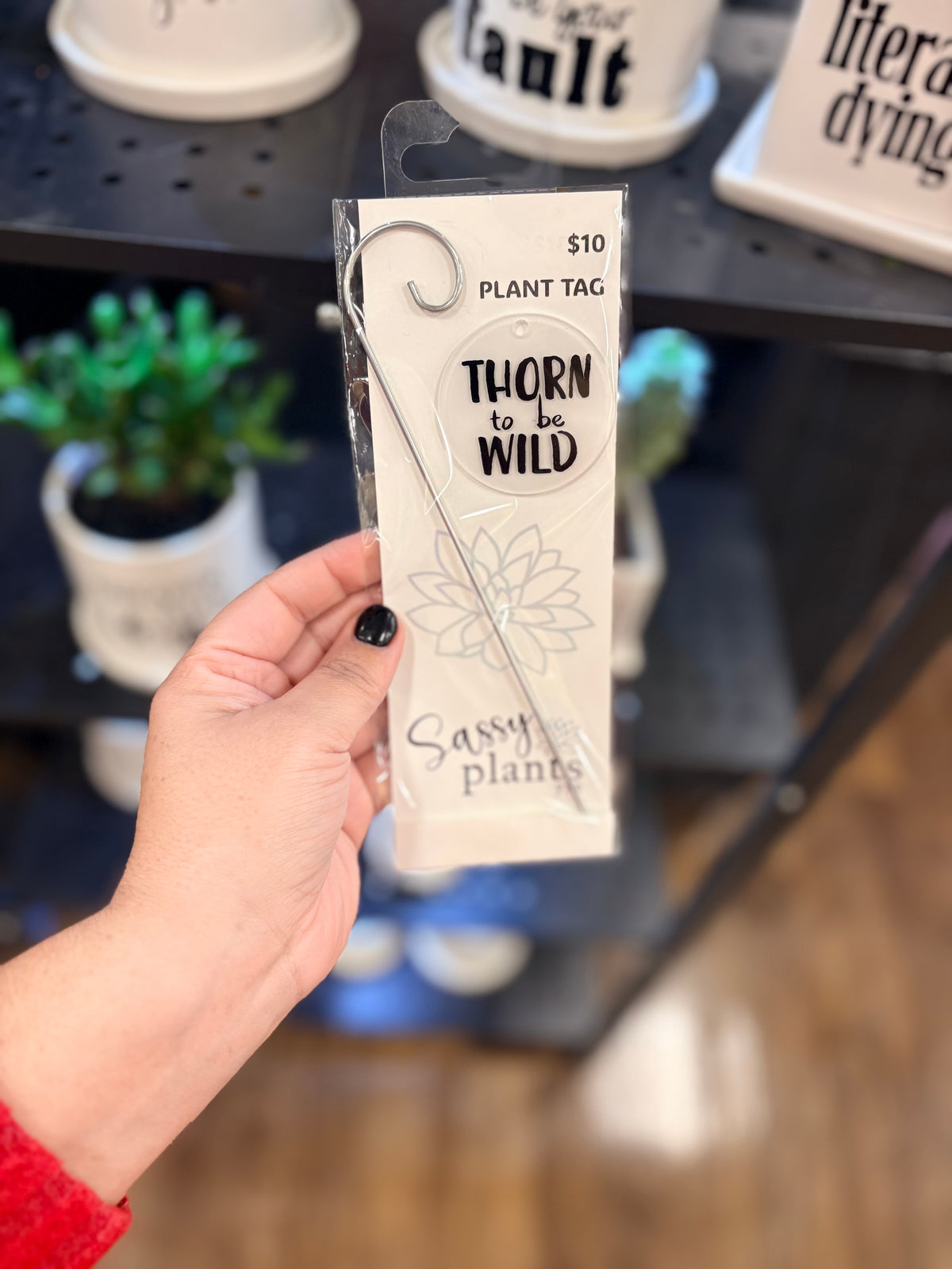 Sassy Plants - Planter Tags
