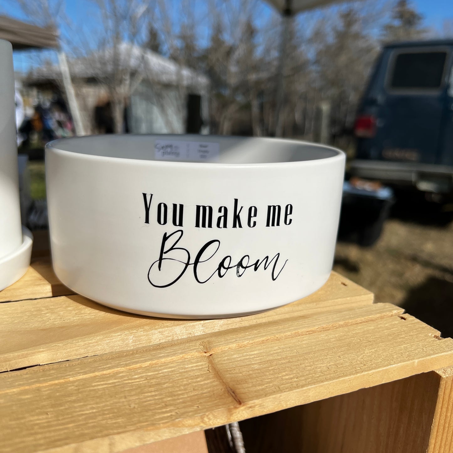 Sassy Plants - "You make me bloom"