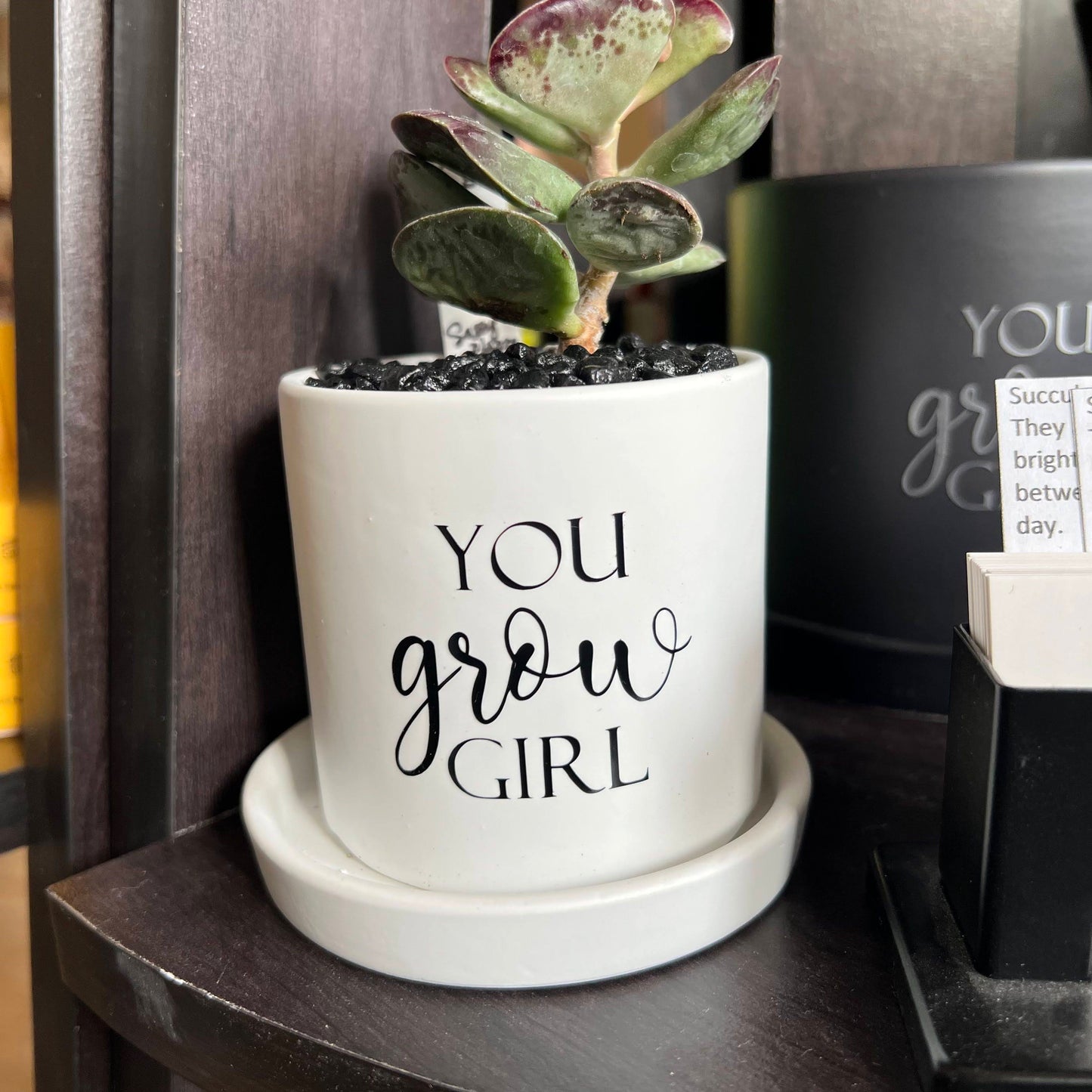 Sassy Plants - "You grow girl"