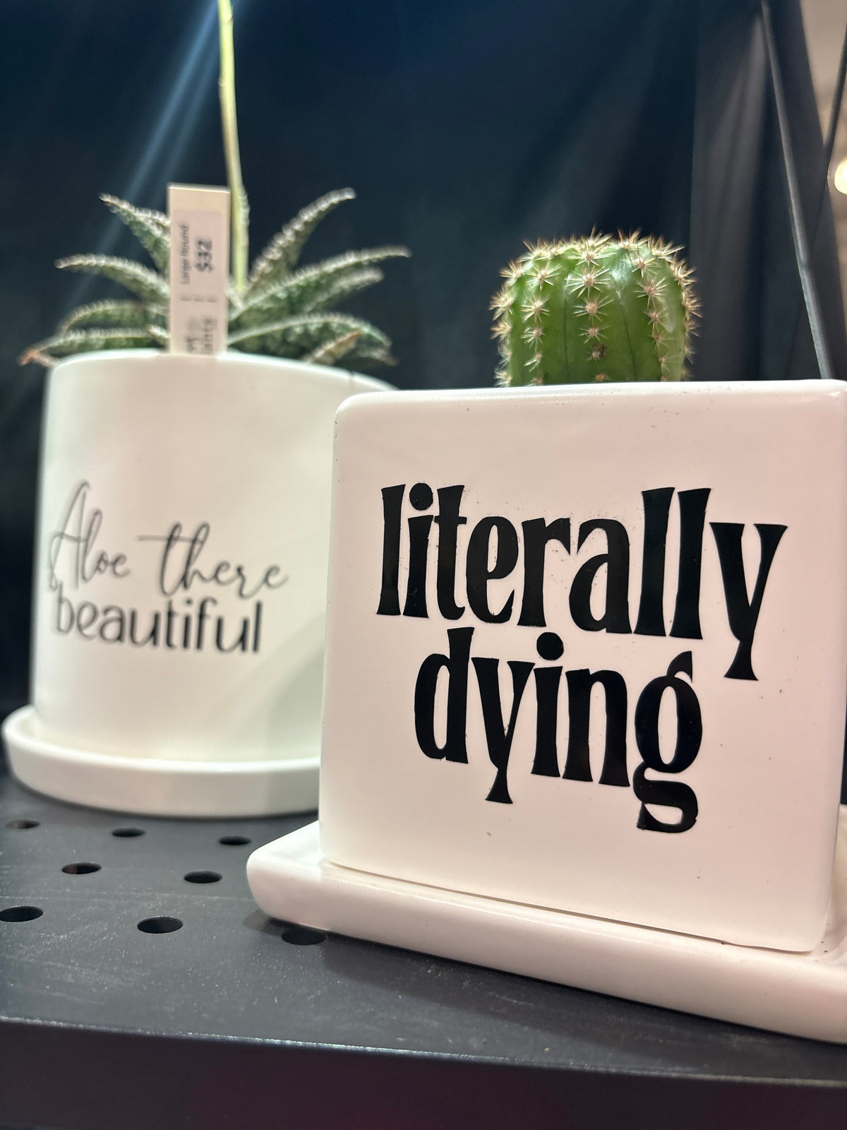 Sassy Plants - "literally dying”