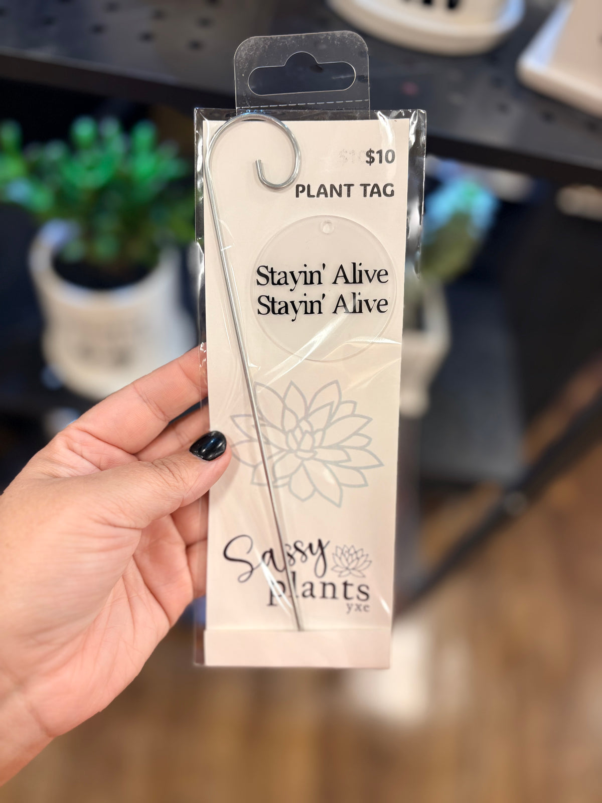 Sassy Plants - Planter Tags