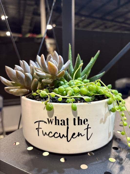 Sassy Plants - "What the fucculent"