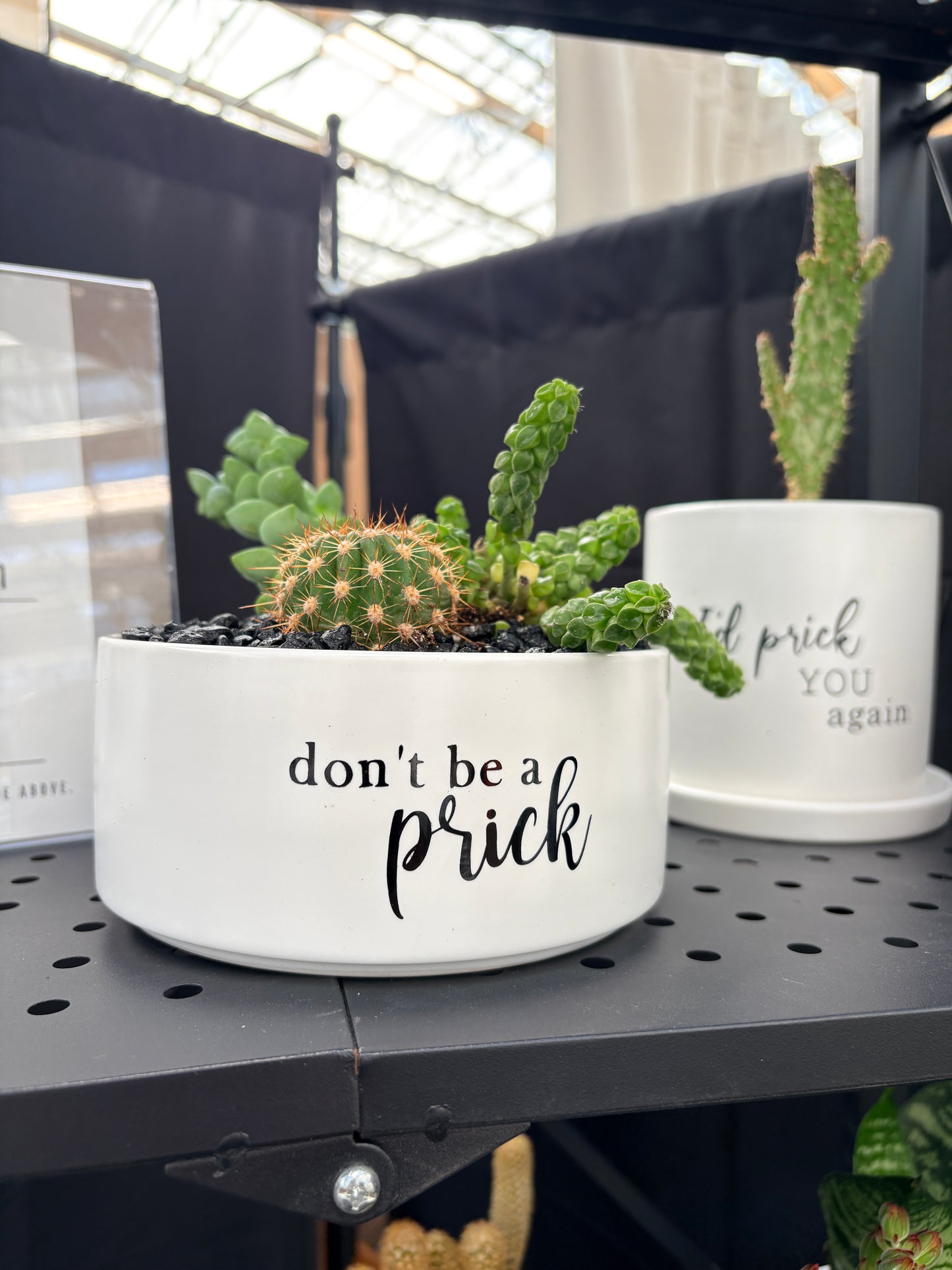 Sassy Plants - "Don't be a prick"