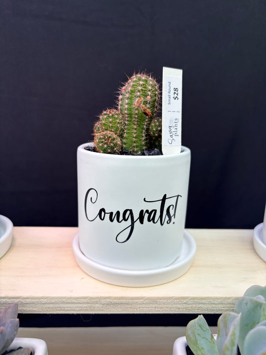 Sassy Plants - "Congrats”