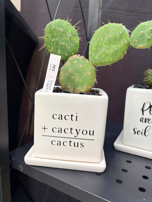 Sassy Plants - "Cacti + Cactyou = Cactus”