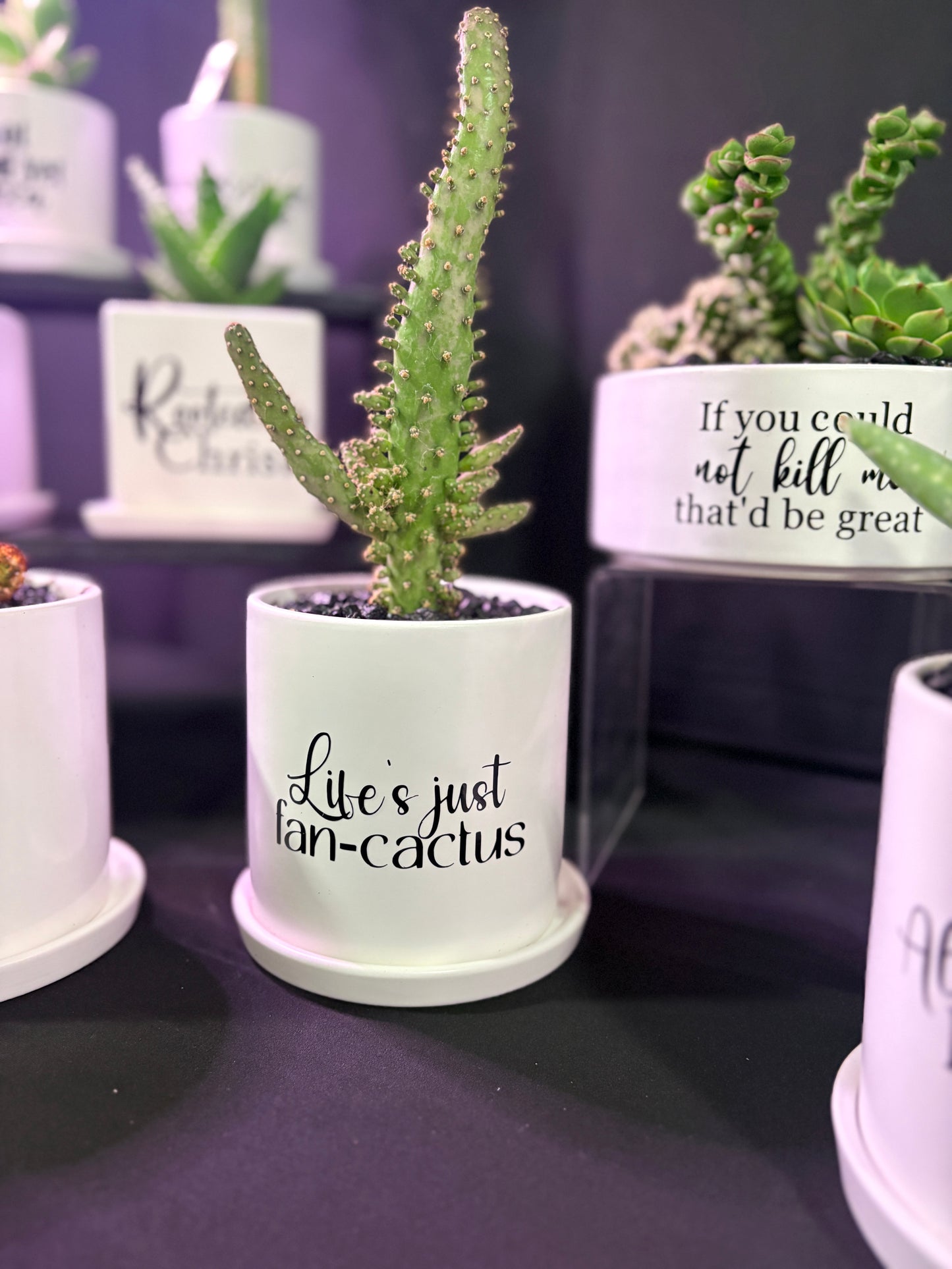 Sassy Plants - "Life's just fan-cactus"