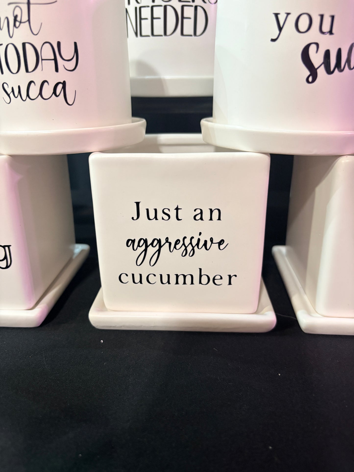 Sassy Plants - "Just an aggressive cucumber"
