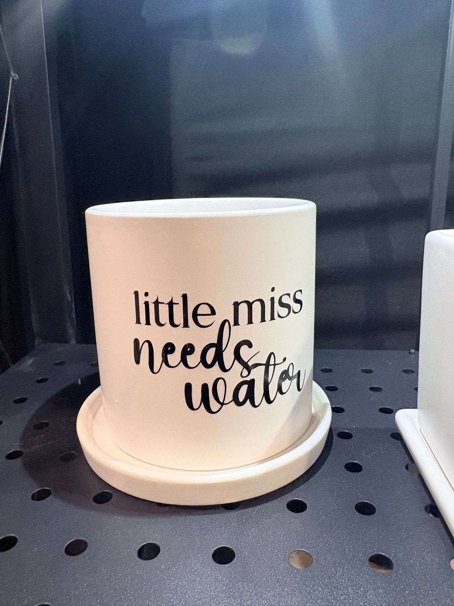 Sassy Plants - "little miss needs water"