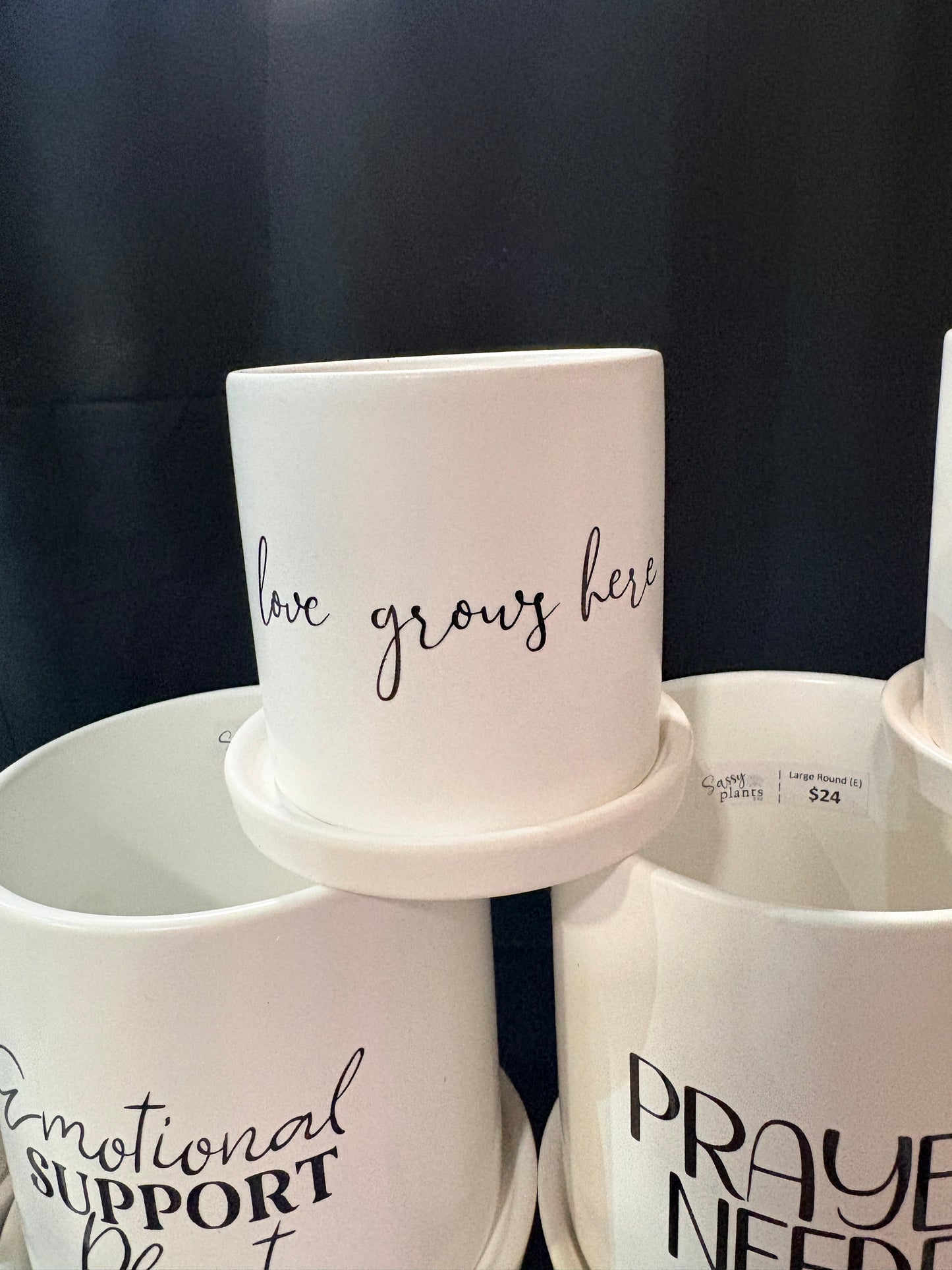 Sassy Plants - "love grows here"