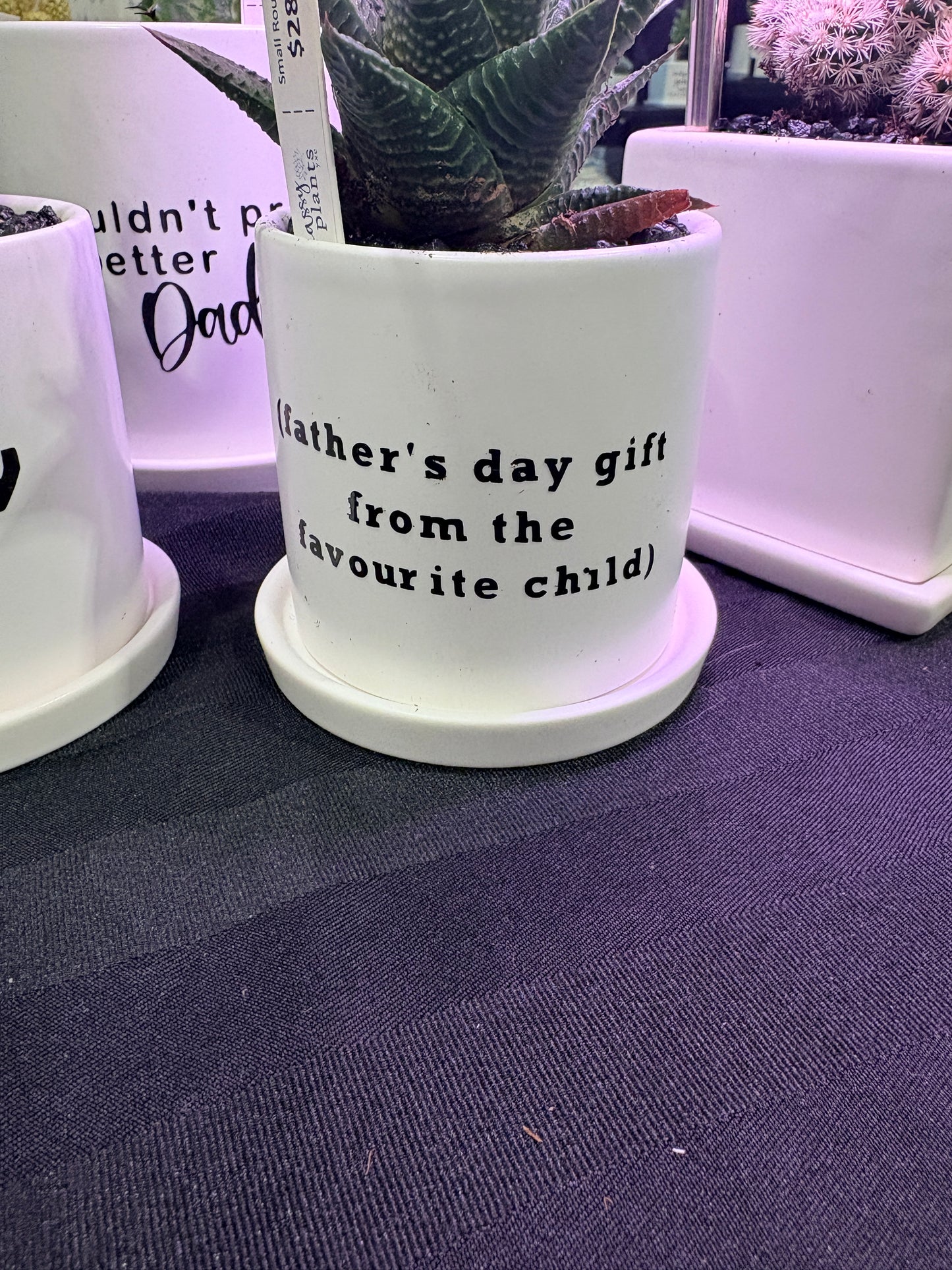 Sassy Plants - "(father’s day gift from the favourite child)"