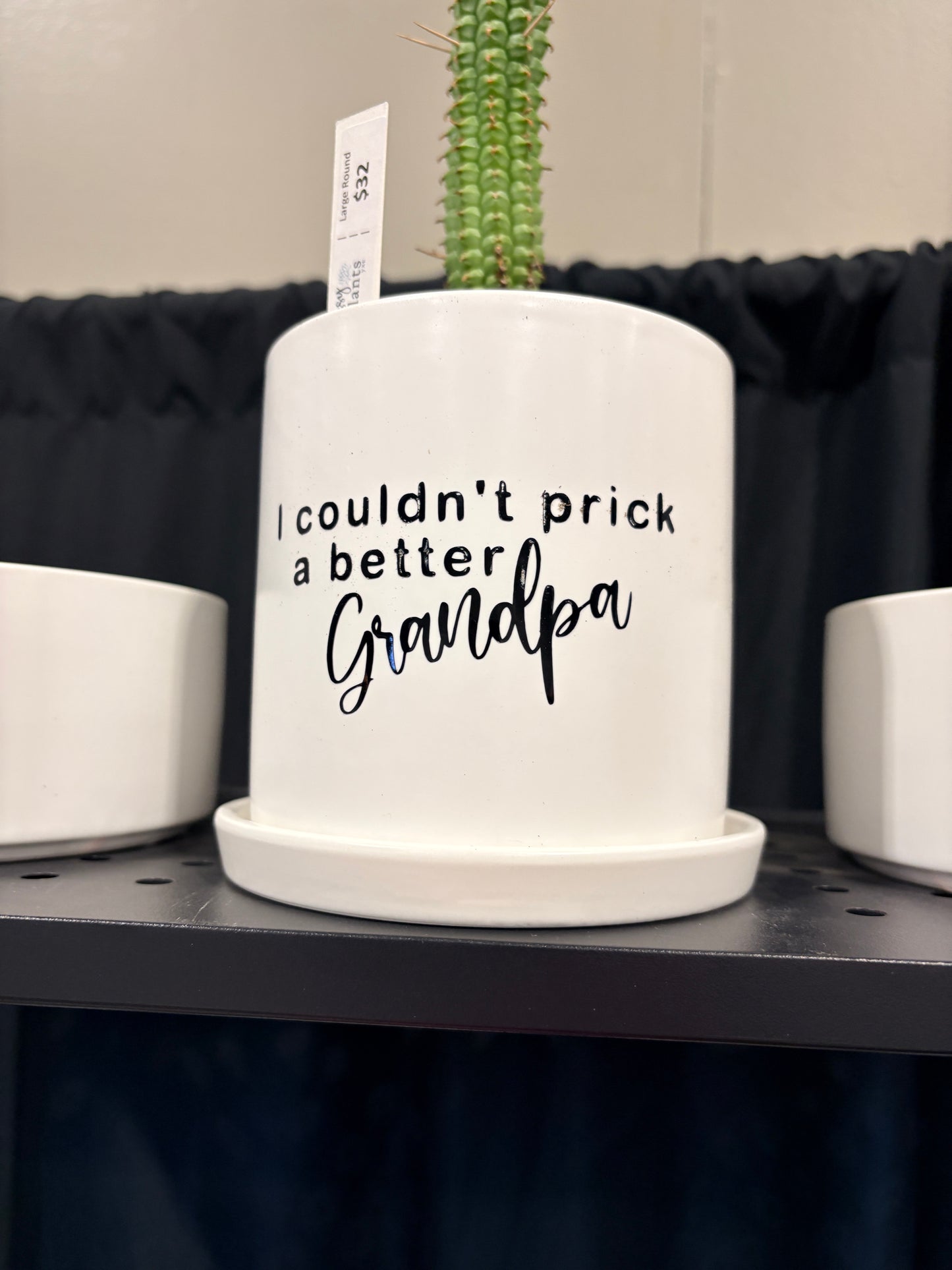 Sassy Plants - "I couldn't prick a better Grandpa"