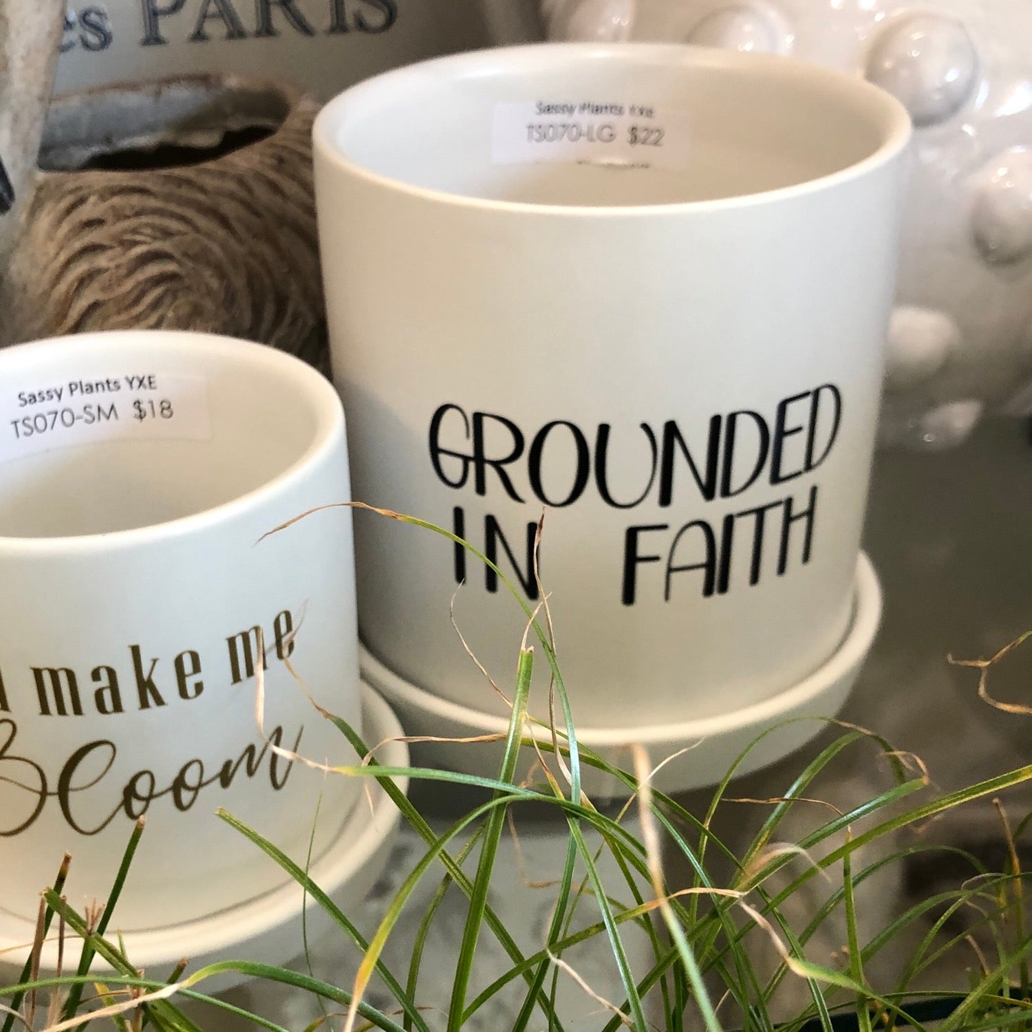 Grounded in Faith image 0