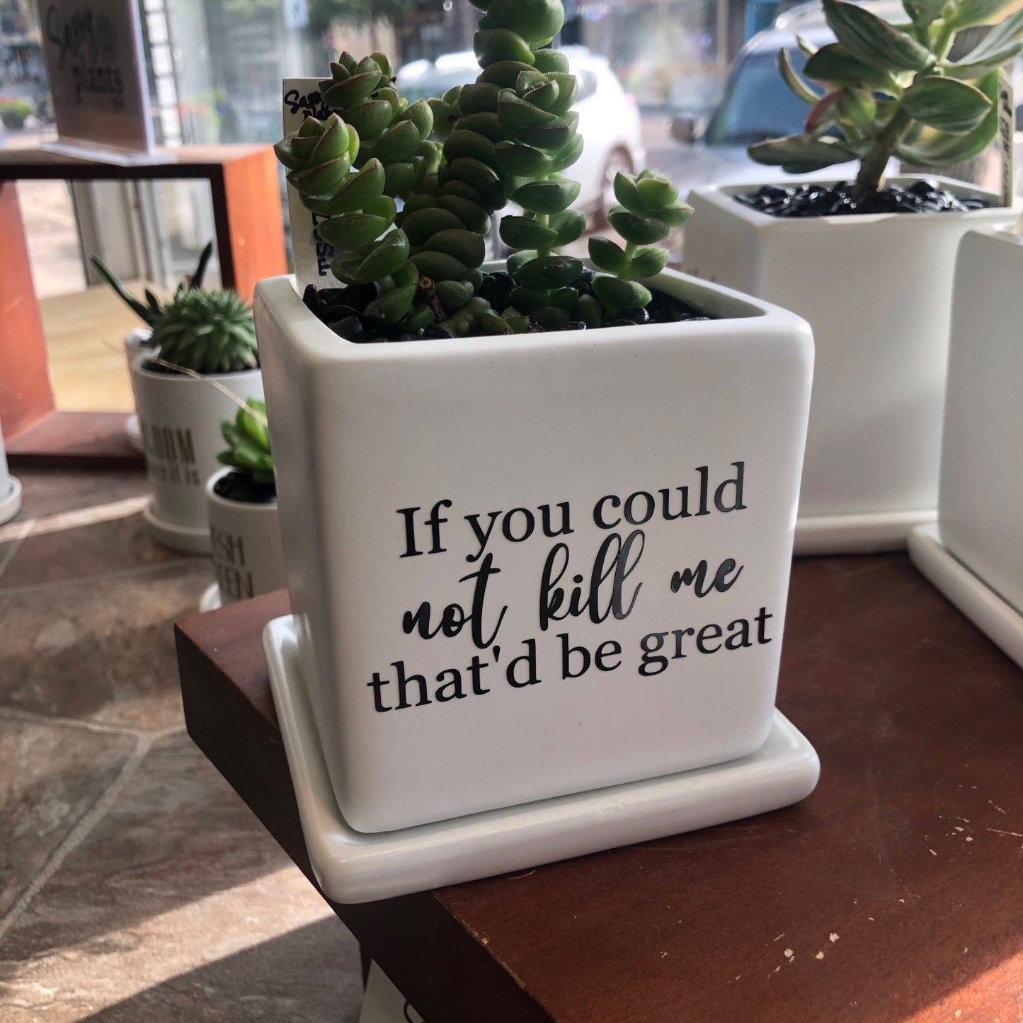If you could not kill me image 0