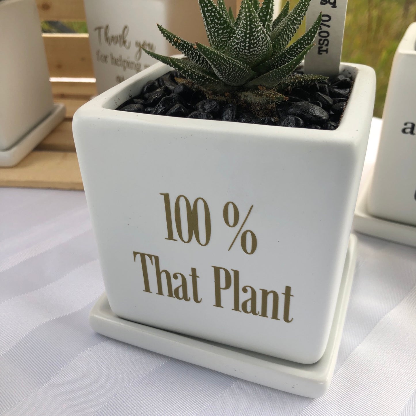 100% That Plant image 1