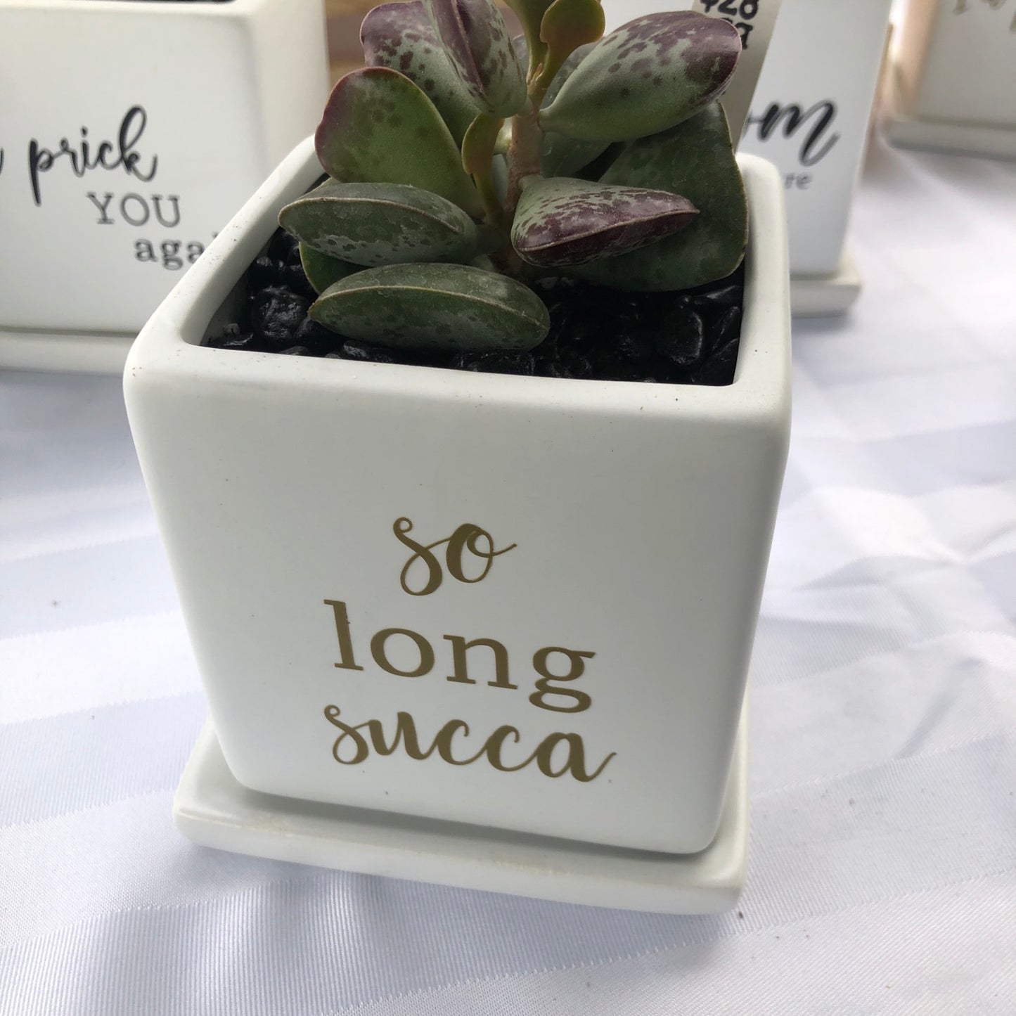 So long succa image 0