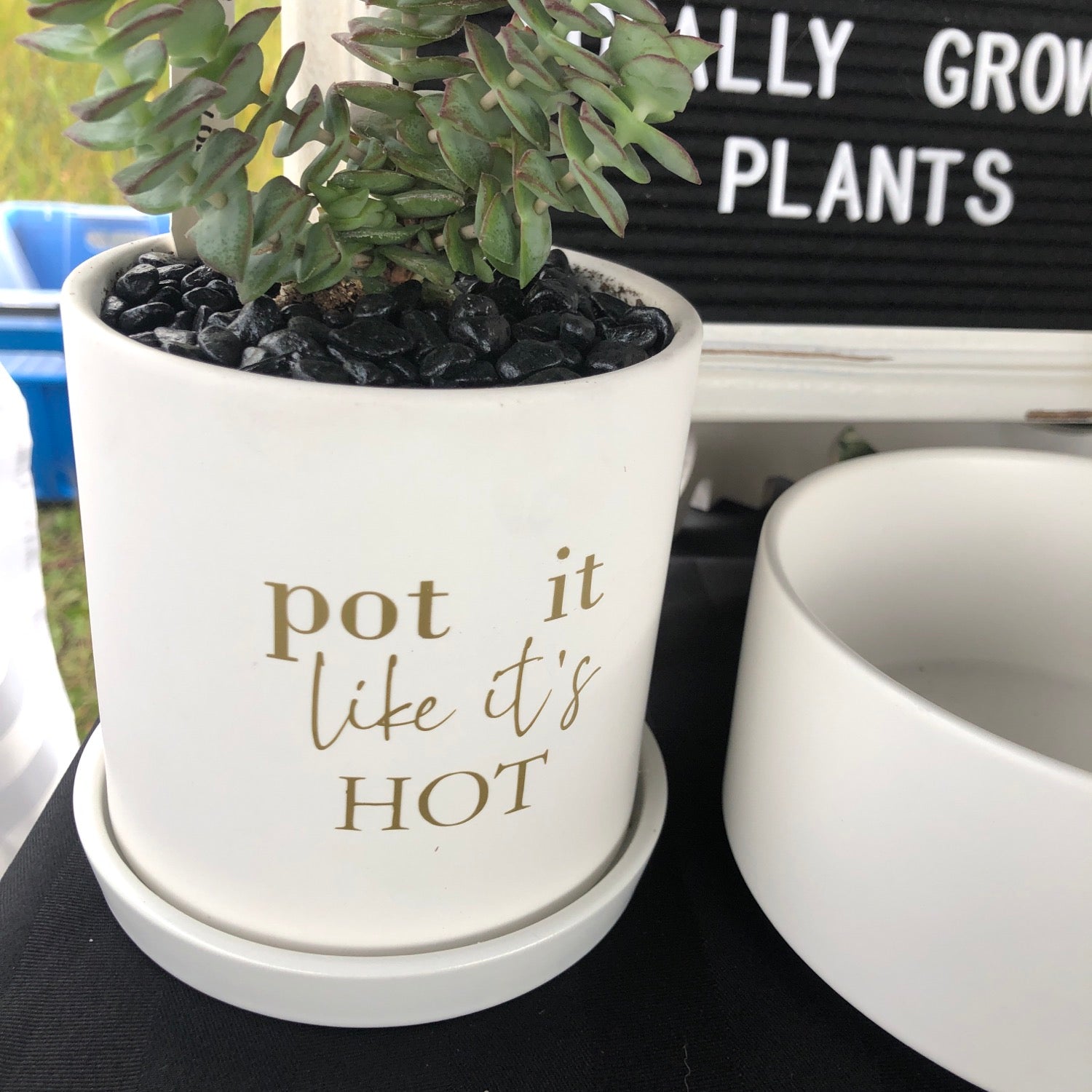 Pot it like it's hot image 0