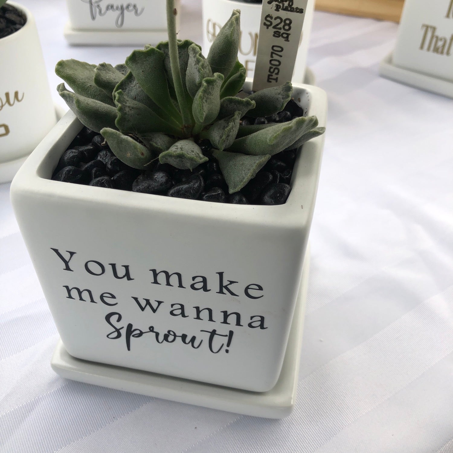 You make me wanna sprout! image 2