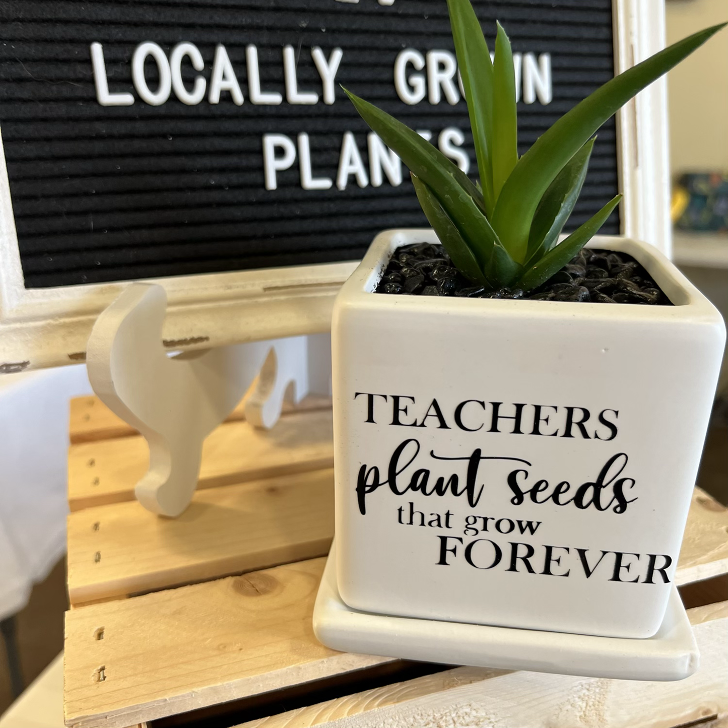 Teachers plant seeds that grow forever image 2