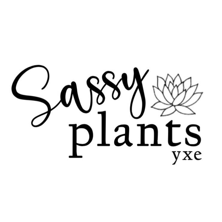 *CUSTOMIZE MY POT image 0