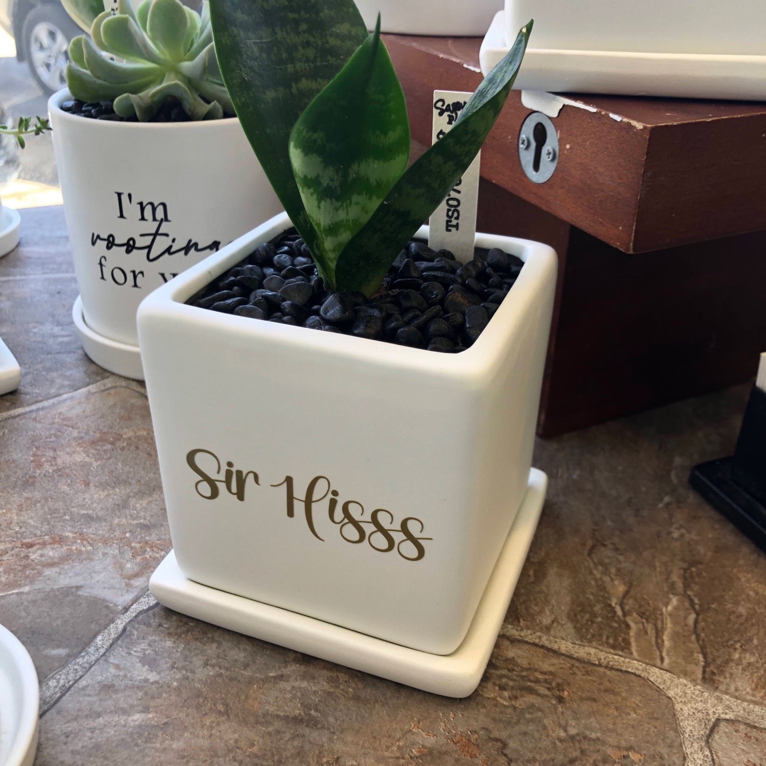 Sir Hisss (Snake Plant pot) image 0