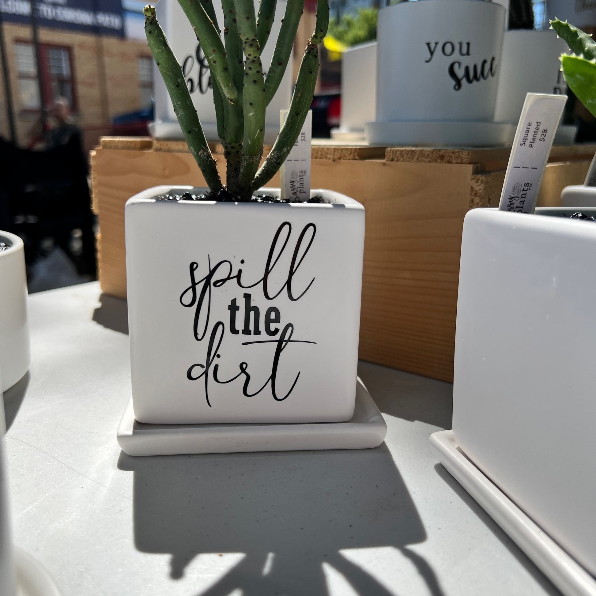 Spill the dirt  image 0