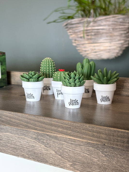 Sassy Plants - Little Clickers - "Little Succa" & "Little Prick" - Fidget Toys
